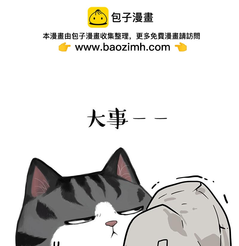 吾皇巴扎黑 - 第367話 都不是事兒 - 1