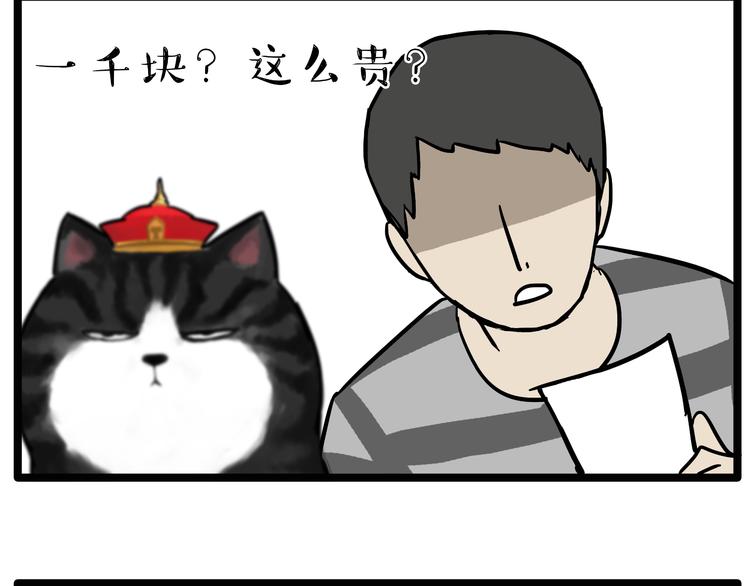 吾皇巴扎黑 - 第79話 帶寵物看病（下） - 3
