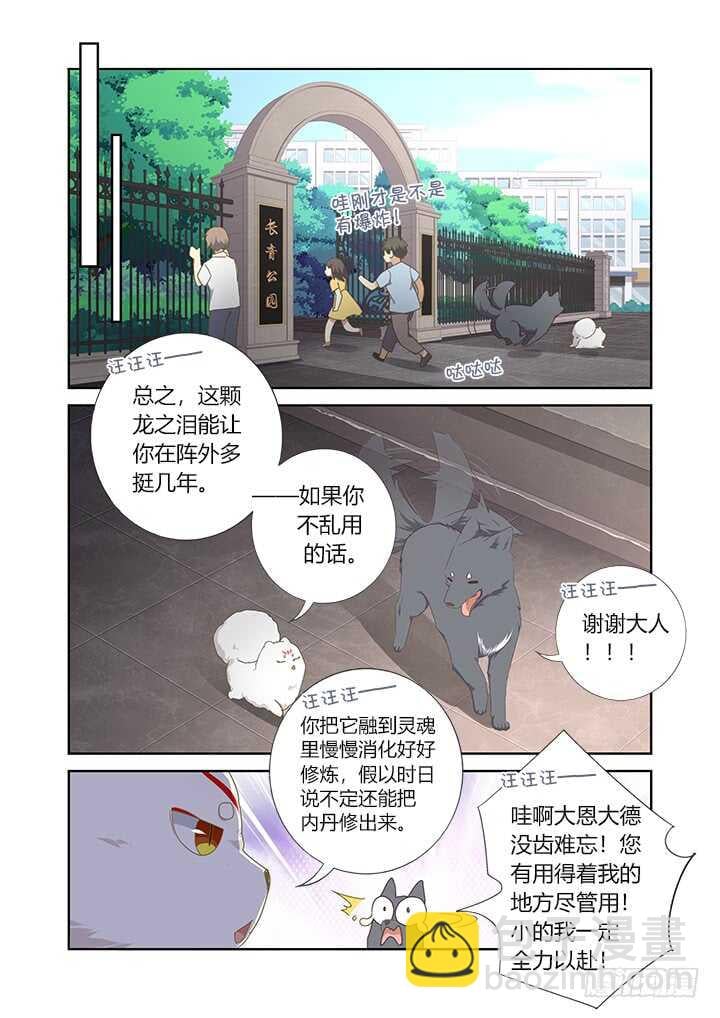 妖怪名單 - 405.中華田園犬 - 2