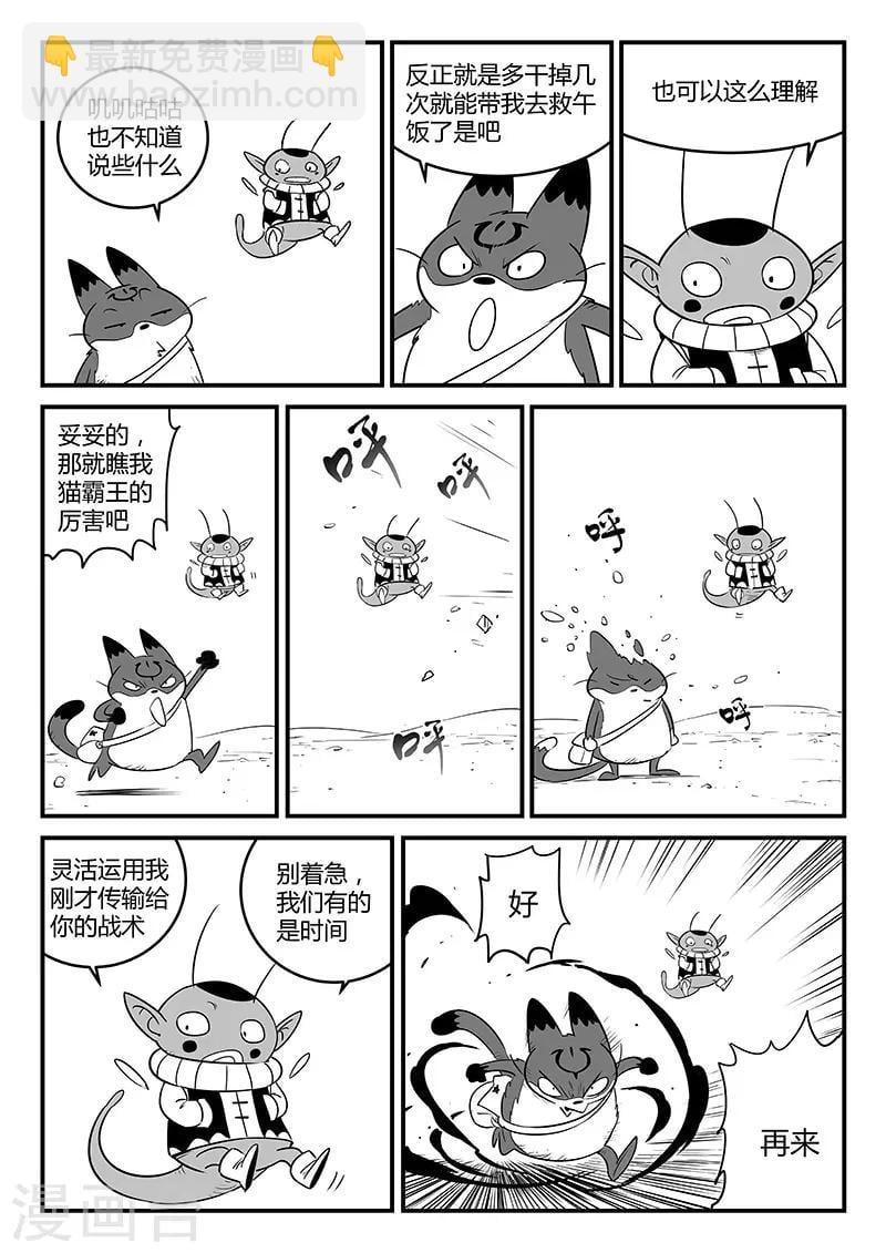 影子猫 - 第248话 特训与特训之外 - 2