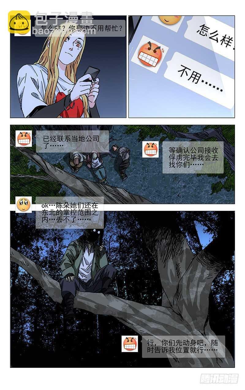 15.jpg