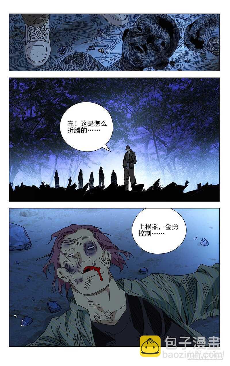 13.jpg