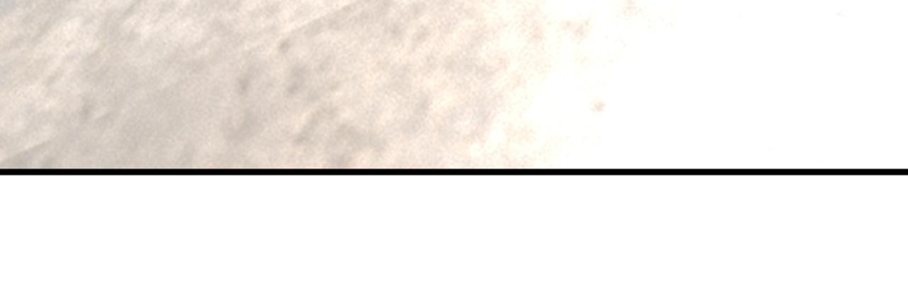 96.jpg