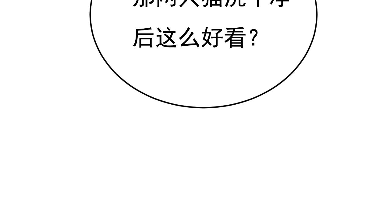 58.jpg